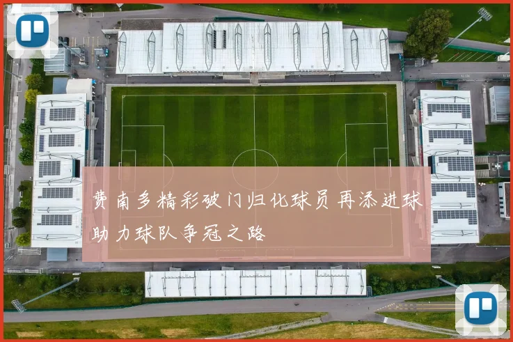 费南多精彩破门归化球员再添进球助力球队争冠之路