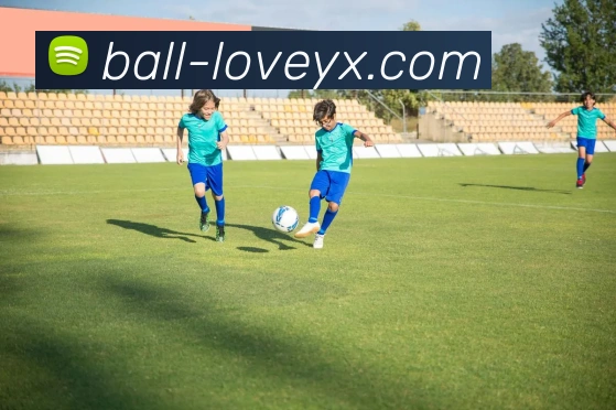 爱游戏APP 高清赛事图